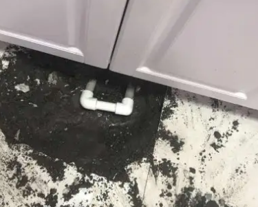 千阳查漏水哪家好